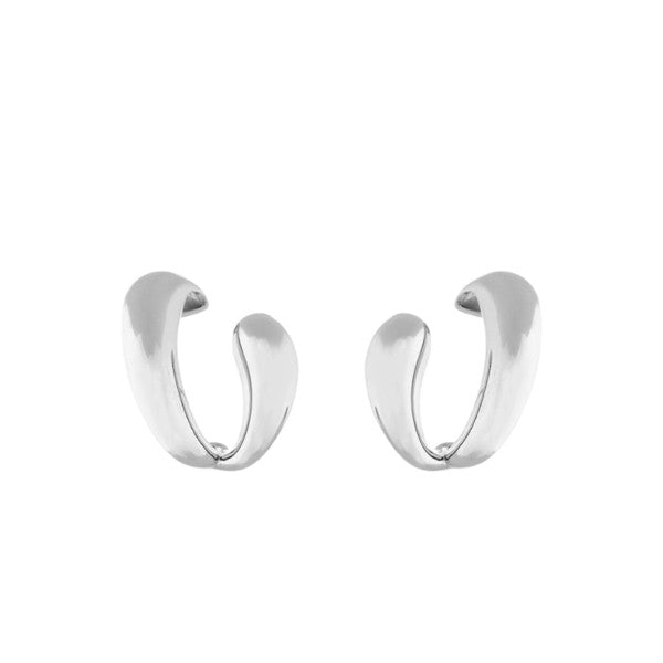 Ear Hook Bold Earrings